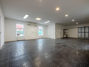 Pronájem skladu, Vestec, Vestecká, 252 m2