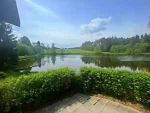 Prodej chaty, Čistá, 44 m2