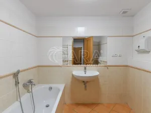 Pronájem bytu 3+1, Praha - Nové Město, Spálená, 127 m2