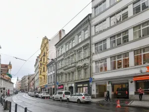 Pronájem bytu 3+1, Praha - Nové Město, Spálená, 127 m2
