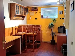 Prodej rodinného domu, Věšín, 264 m2