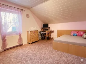 Prodej rodinného domu, Věšín, 220 m2