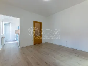 Pronájem bytu 1+kk, Praha - Vinohrady, 24 m2