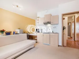 Pronájem bytu 1+kk, Praha, 28 m2