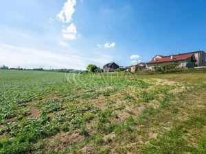 Prodej pozemku pro bydlení, Dobrovice - Úherce, 1050 m2