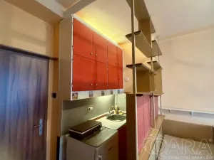 Pronájem bytu 1+kk, Praha - Břevnov, Na Petynce, 15 m2