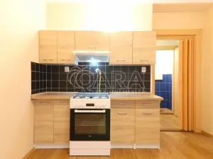 Pronájem bytu 2+kk, Praha - Dejvice, Koulova, 40 m2