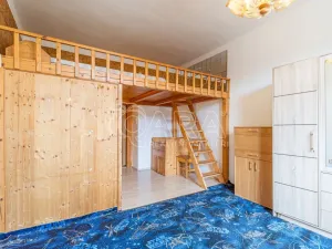 Pronájem bytu 2+kk, Praha - Nusle, Táborská, 57 m2