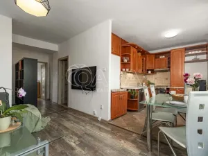 Prodej bytu 2+kk, Havířov - Město, Dlouhá třída, 51 m2