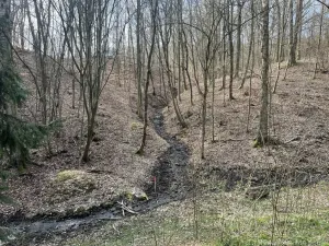 Prodej chaty, Nižbor - Žloukovice, 35 m2