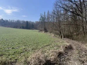 Prodej chaty, Nižbor - Žloukovice, 35 m2