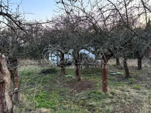 Prodej chaty, Praha, Zálužská, 16 m2