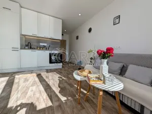 Prodej bytu 1+kk, Plzeň - Doudlevce, Šimerova, 21 m2