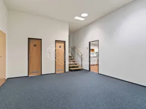 Prodej kanceláře, Praha - Petrovice, Novopetrovická, 1433 m2