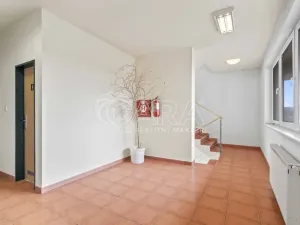 Prodej kanceláře, Praha - Petrovice, Novopetrovická, 1433 m2