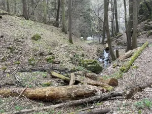 Prodej chaty, Štěchovice, 40 m2