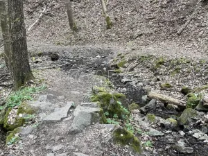 Prodej chaty, Štěchovice, 40 m2