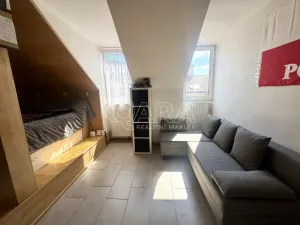 Pronájem bytu 1+kk, Praha - Nové Město, Školská, 30 m2