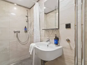 Prodej bytu 2+kk, Praha - Vinohrady, Mánesova, 45 m2