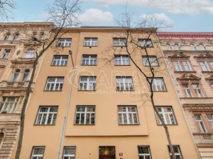 Prodej bytu 2+kk, Praha - Vinohrady, Mánesova, 45 m2