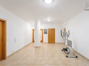 Prodej bytu 4+kk, Brno, Mojžíšova, 171 m2