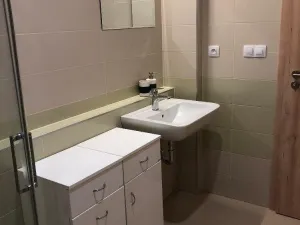 Pronájem bytu 2+kk, České Budějovice - České Budějovice 2, 57 m2