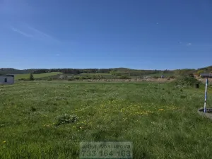 Prodej pozemku pro bydlení, Krnov - Krásné Loučky, 1000 m2