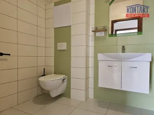 Pronájem bytu 3+kk, České Budějovice - České Budějovice 4, Blahoslavova, 59 m2