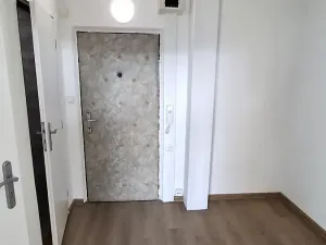 Pronájem bytu 1+kk, Plzeň, Sokolovská, 30 m2