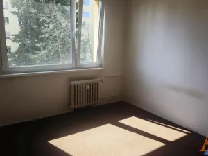 Pronájem bytu 1+kk, Chomutov, Kostnická, 20 m2