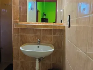 Prodej ubytování, Ostrava, Šamanova, 173 m2