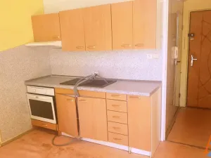 Pronájem bytu 1+1, Chomutov, Školní pěšina, 35 m2
