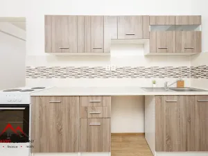 Pronájem bytu 1+1, Ostrava, Palackého, 41 m2