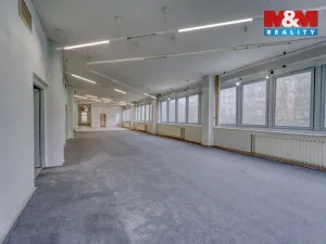 Pronájem skladu, Plzeň - Severní Předměstí, alej Svobody, 641 m2