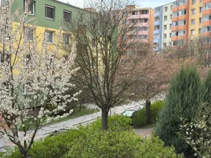 Prodej bytu 2+1, Kroměříž, Francouzská, 58 m2