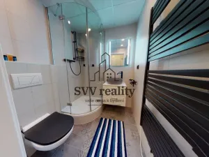 Pronájem bytu 2+kk, Praha - Žižkov, Řehořova, 51 m2