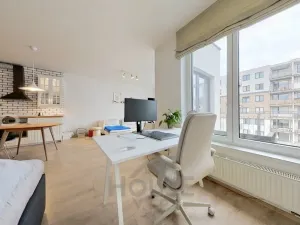 Prodej bytu 2+kk, Praha - Vysočany, Pod Harfou, 53 m2