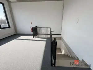 Pronájem obchodního prostoru, Brno, Vinohradská, 444 m2