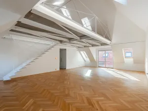 Prodej bytu 5+kk, Praha - Střešovice, Pod bateriemi, 193 m2