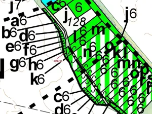 Dražba lesa, Přísnotice, 60 m2