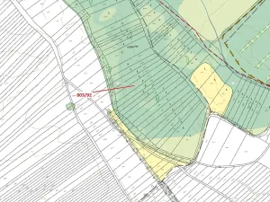 Dražba lesa, Přísnotice, 1778 m2