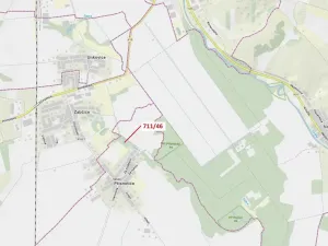 Dražba lesa, Přísnotice, 569 m2