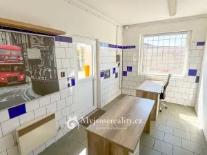 Prodej výrobních prostor, Šanov, Zahradní, 135 m2