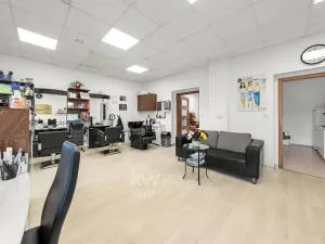 Prodej rodinného domu, Jesenice, Budějovická, 340 m2