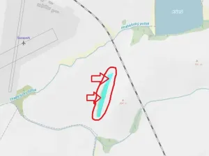 Prodej lesa, Nový Malín, 8466 m2