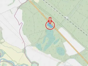 Prodej lesa, Týniště nad Orlicí, 6788 m2