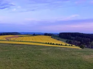 Prodej pozemku pro bydlení, Pecka, 1250 m2