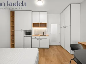 Pronájem bytu 1+kk, Brno, Cejl, 28 m2