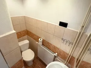 Prodej rodinného domu, Nová Včelnice, 220 m2