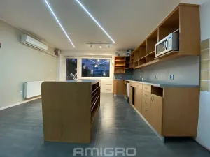 Pronájem obchodního prostoru, Brno, Merhautova, 56 m2